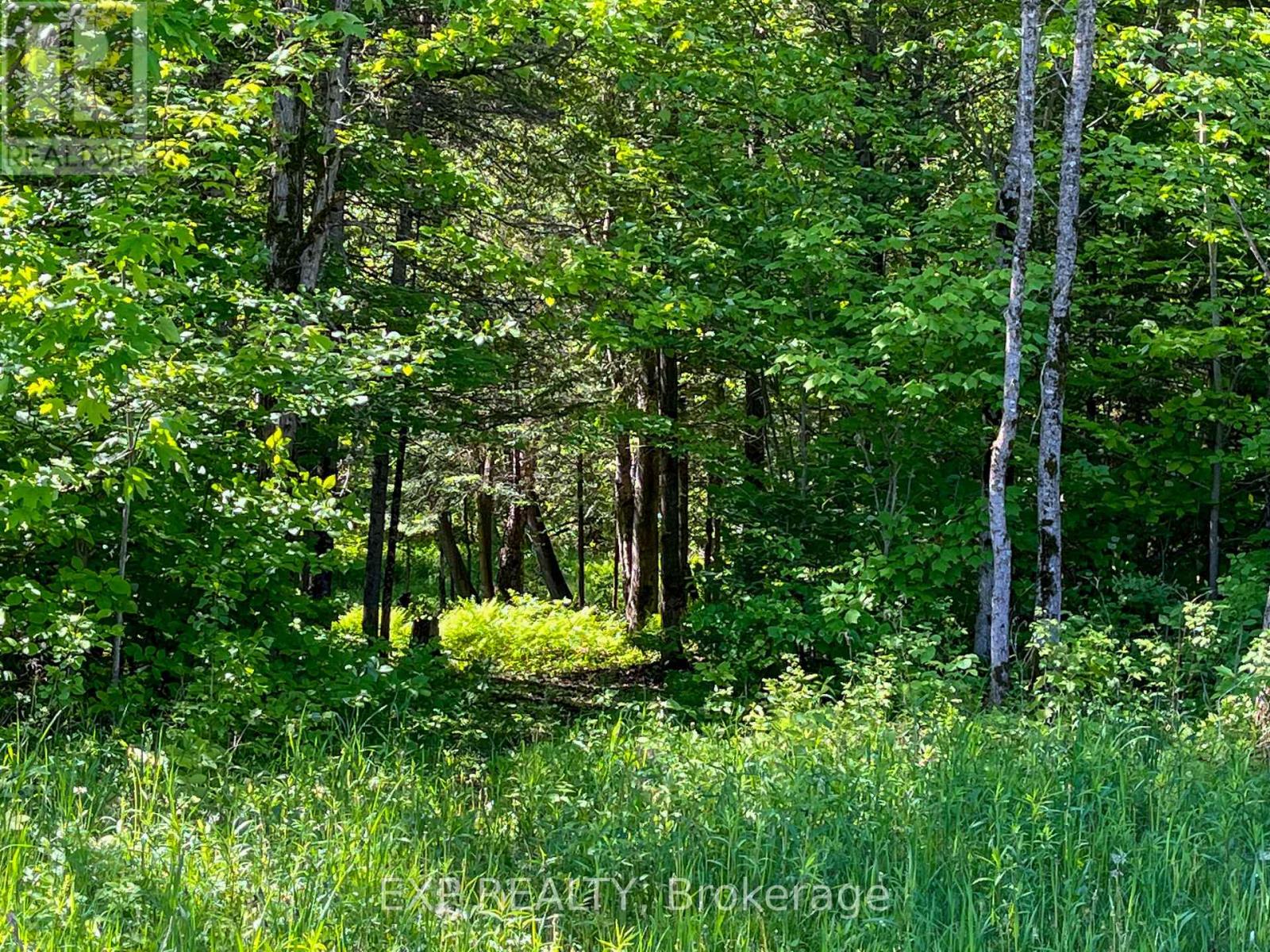 00 Johnston Road, Horton, Ontario  K7V 3Z8 - Photo 8 - X13466900