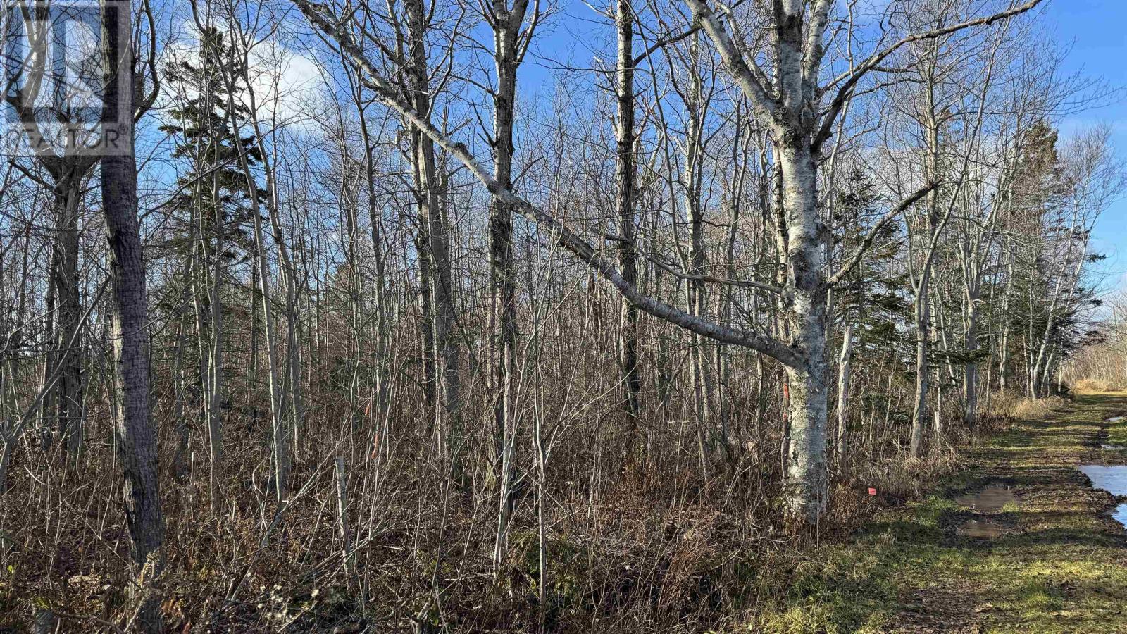 Lot 23-1  0 Isidore Lane, Union Corner, Prince Edward Island  C0B 2E0 - Photo 15 - 202614990