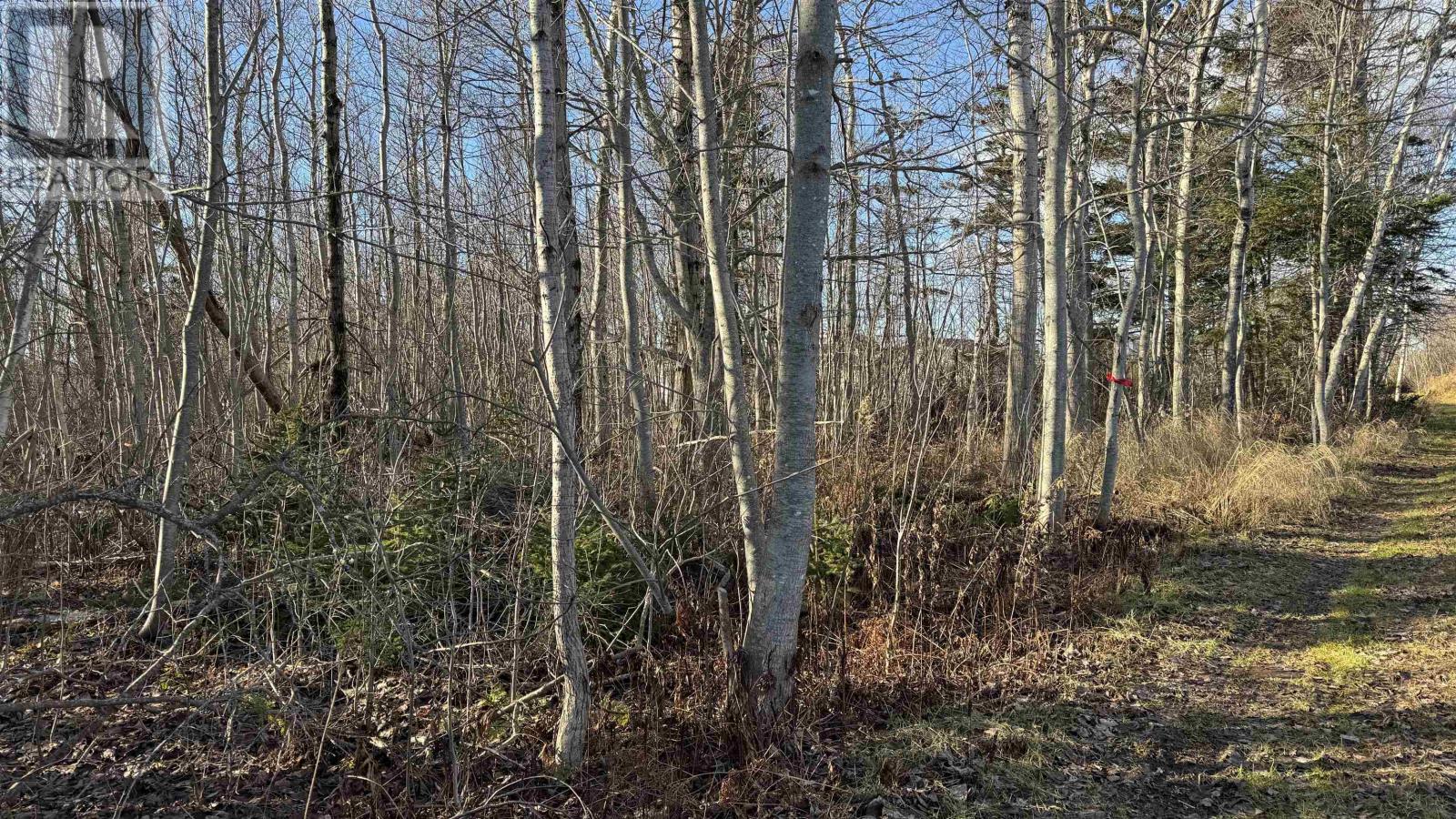 Lot 23-1  0 Isidore Lane, Union Corner, Prince Edward Island  C0B 2E0 - Photo 17 - 202614990