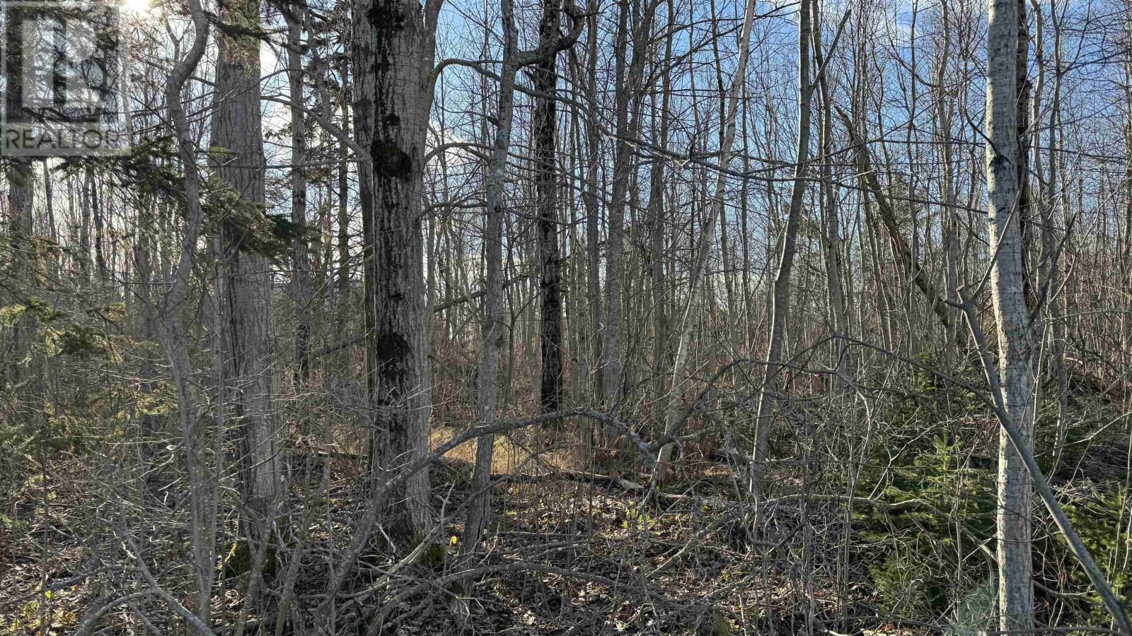 Lot 23-1  0 Isidore Lane, Union Corner, Prince Edward Island  C0B 2E0 - Photo 18 - 202614990