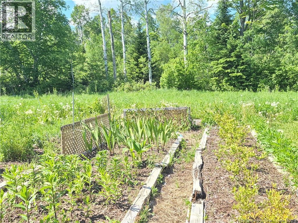 1890 Ch Lugar, Lugar, New Brunswick  E8K 3B2 - Photo 14 - NB140788