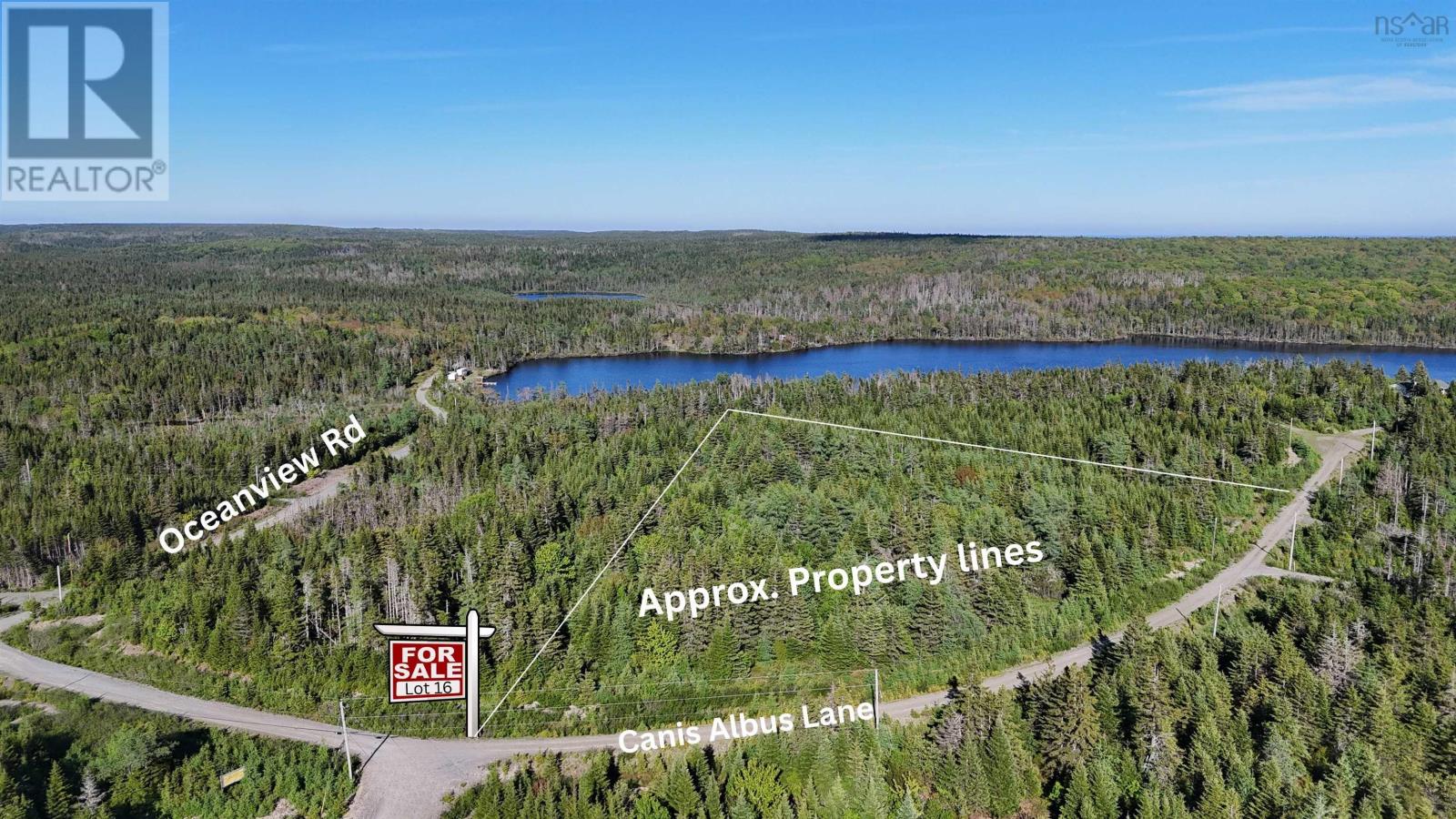 Lot 16 Canis Albus Lane, French Road, Nova Scotia  B1K 2A1 - Photo 2 - 202613968