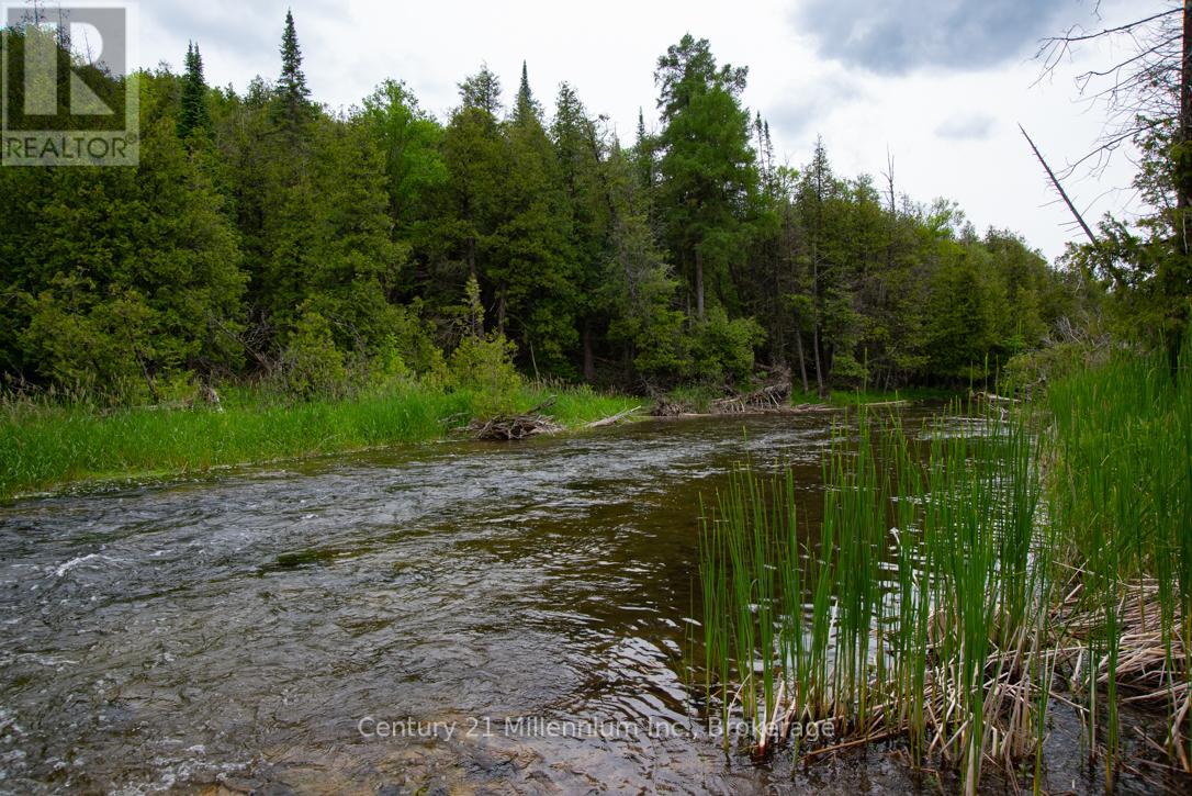 504354 Grey Road 12 Road, West Grey, Ontario N0C 1H0 - Photo 19 - X13467018