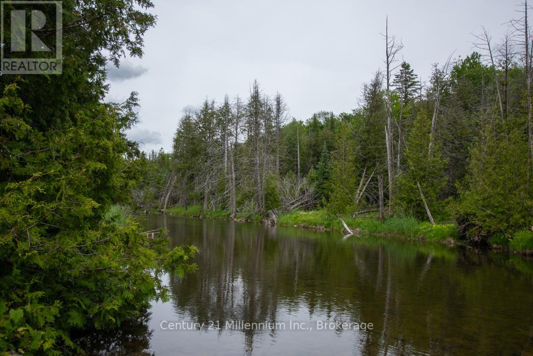 504354 Grey Road 12 Road, West Grey, Ontario N0C 1H0 - Photo 20 - X13467018