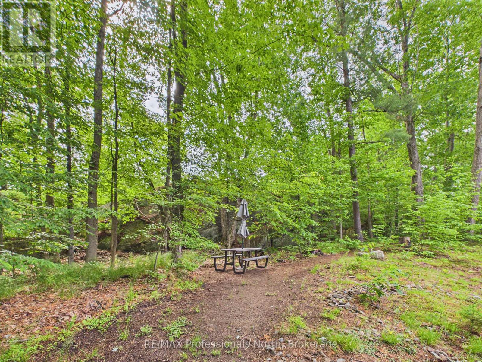 201 - 391c Manitoba Street, Bracebridge, Ontario  P1L 0B6 - Photo 31 - X13467144