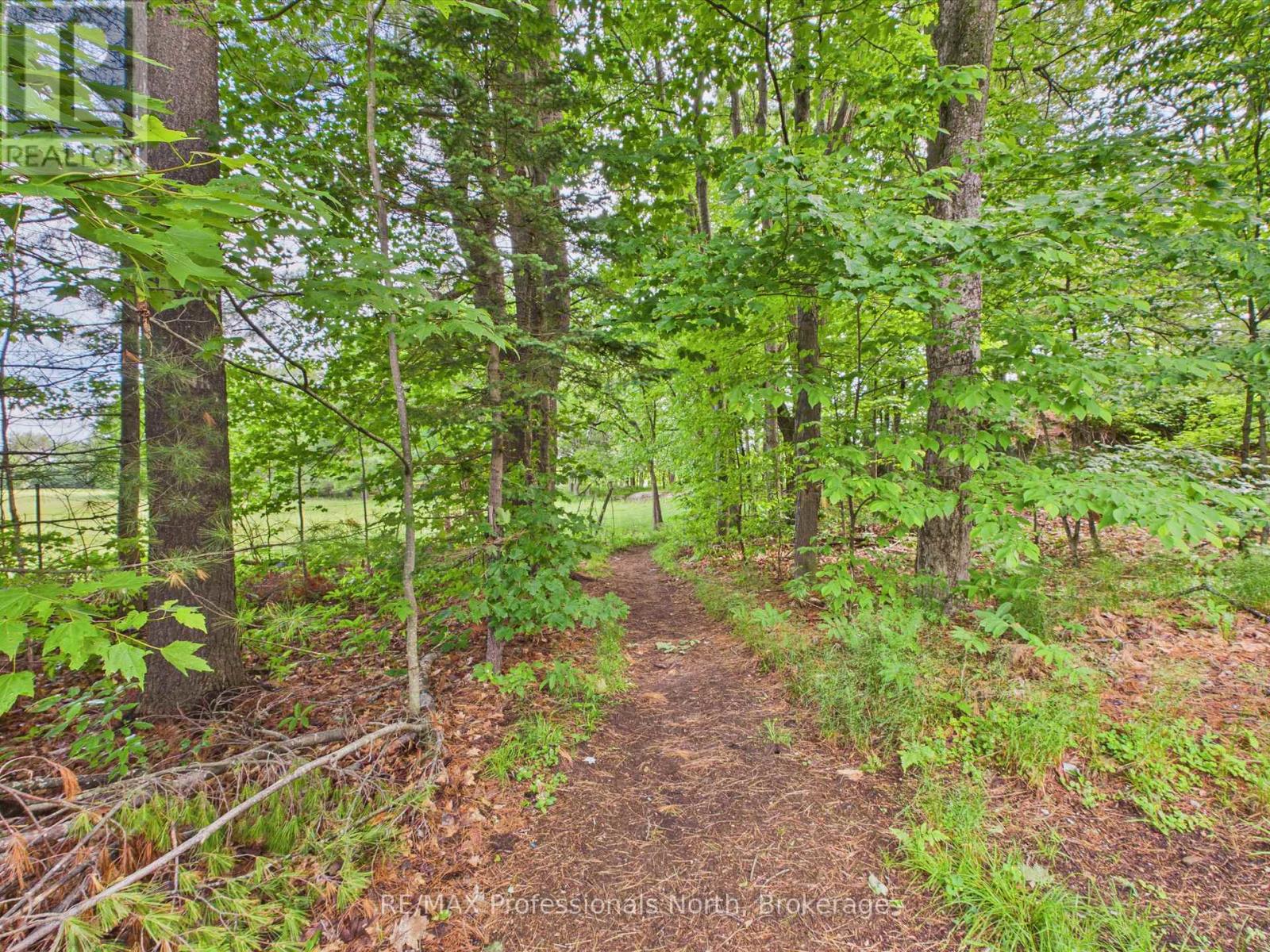 201 - 391c Manitoba Street, Bracebridge, Ontario  P1L 0B6 - Photo 32 - X13467144