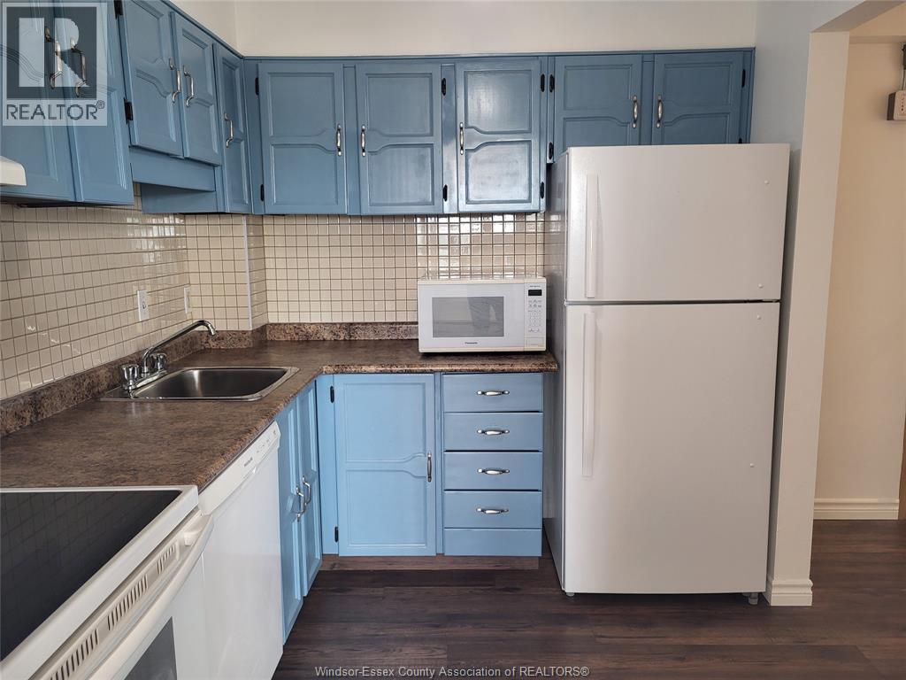 3950 Wyandotte St. East Unit# 505, Windsor, Ontario N8Y 1G5 - Photo 5 - 26014637