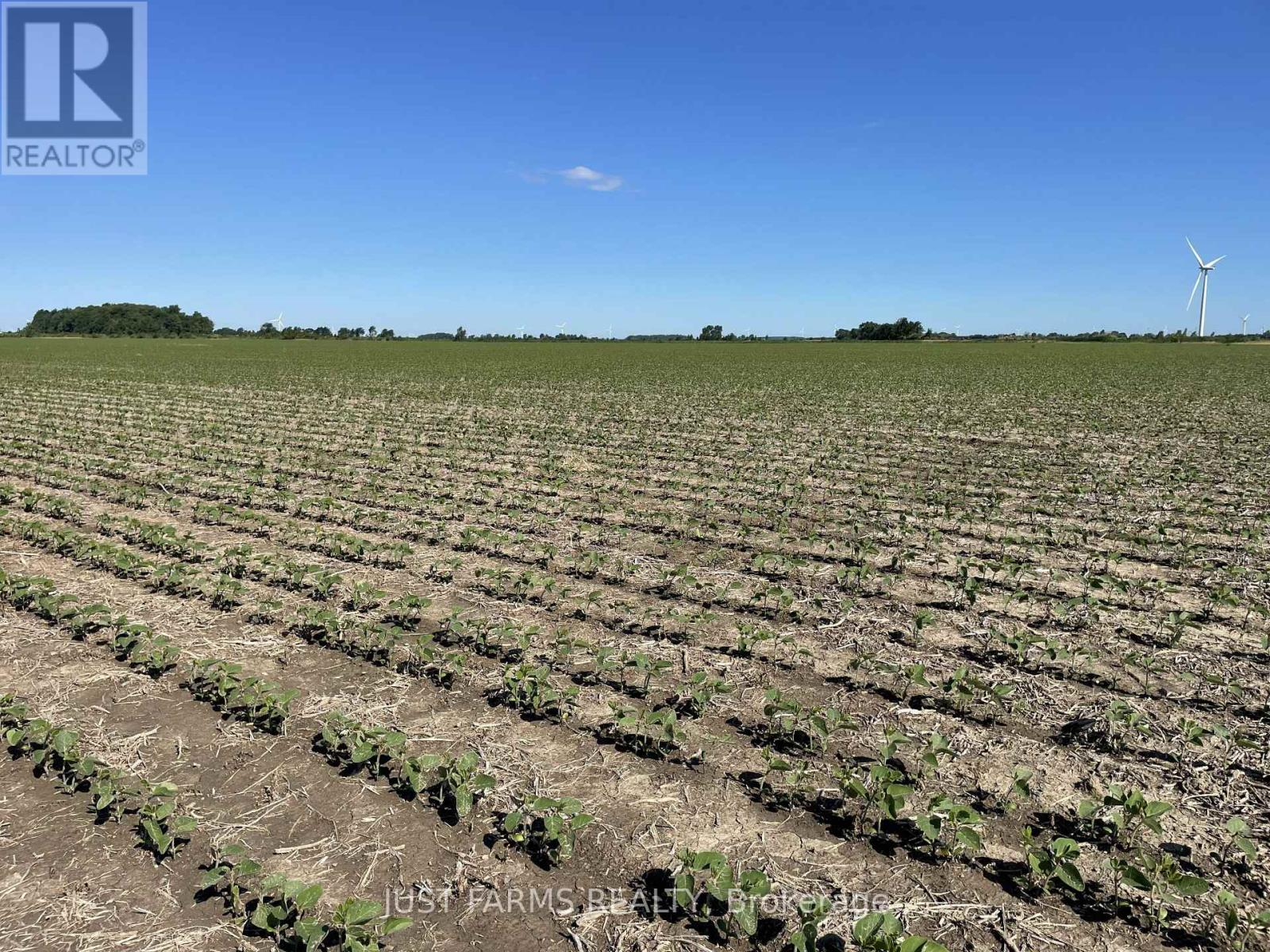 Lt 26&27 Third Concession Line, Chatham-Kent, Ontario  N0P 2P0 - Photo 2 - X13467538