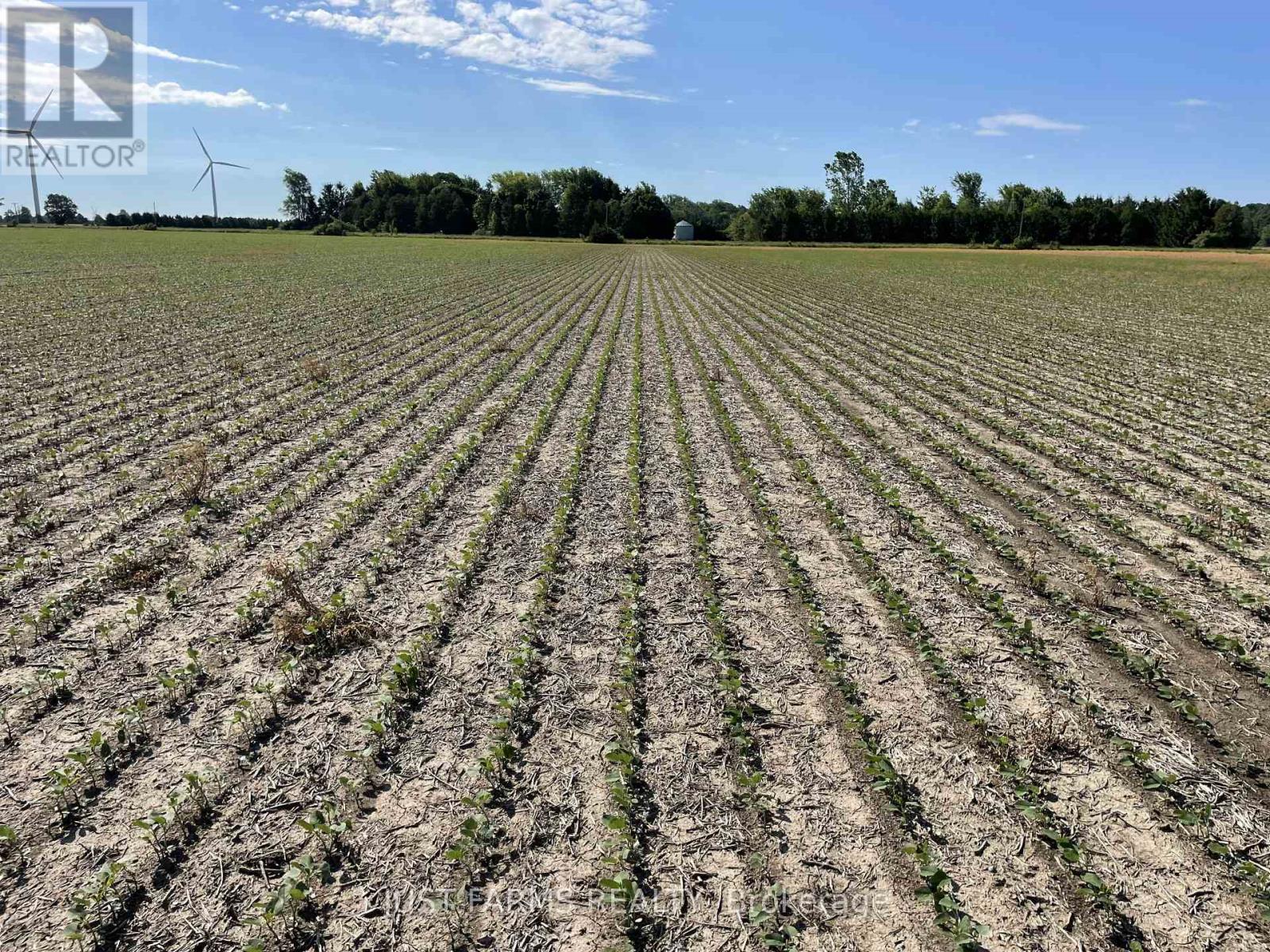 Lt 26&27 Third Concession Line, Chatham-Kent, Ontario  N0P 2P0 - Photo 6 - X13467538