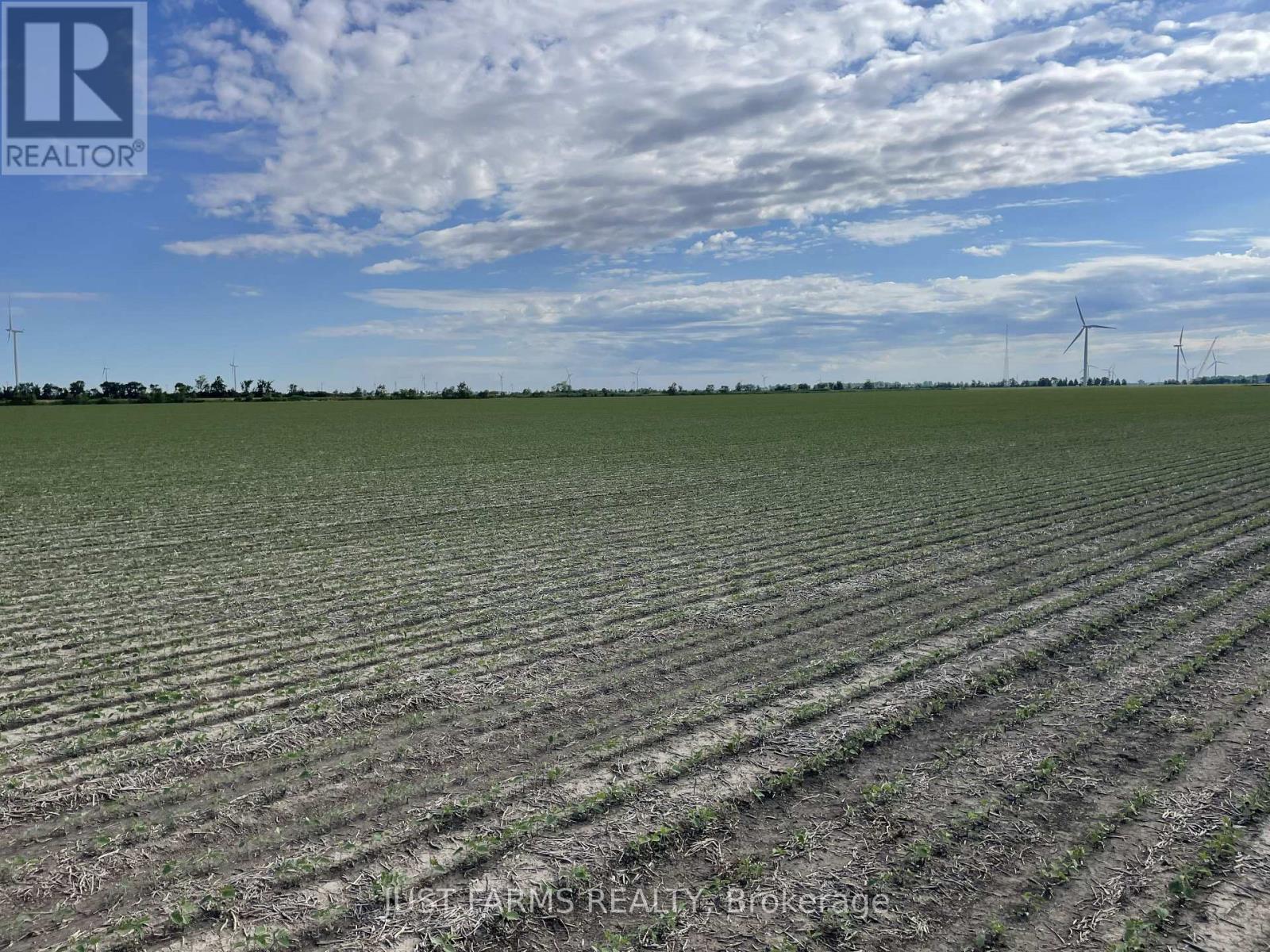 Lt 26&27 Third Concession Line, Chatham-Kent, Ontario  N0P 2P0 - Photo 8 - X13467538
