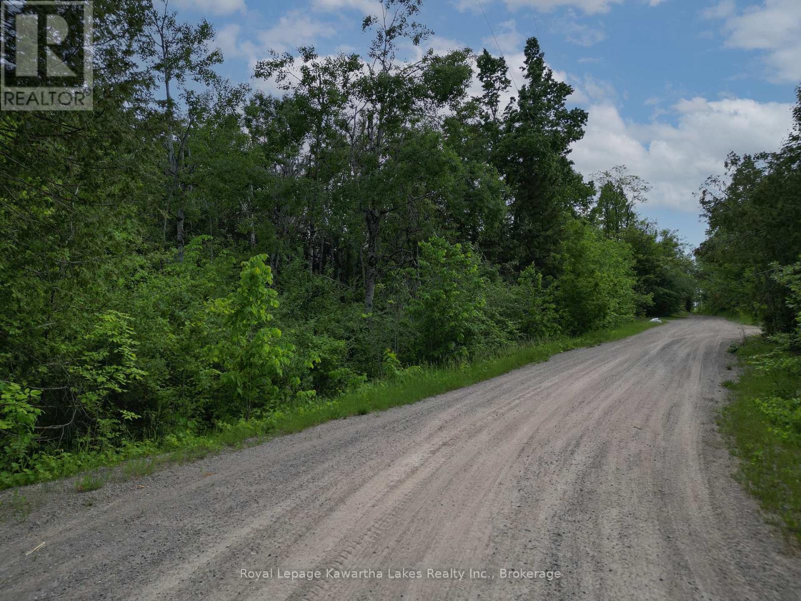 Lt 32 Rosco Lane, Kawartha Lakes, Ontario  K0M 1N0 - Photo 5 - X13454630