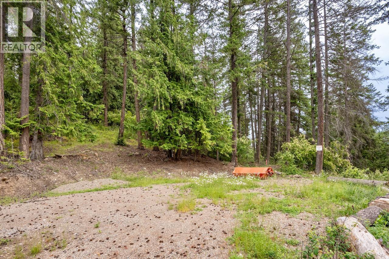 2606 Cedar Avenue Lot# 88, Anglemont, British Columbia  V0E 1M8 - Photo 1 - 10391881