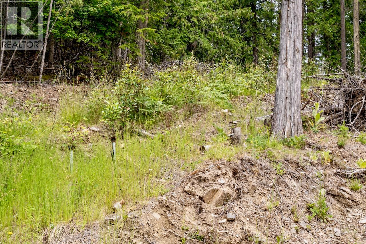 2606 Cedar Avenue Lot# 88, Anglemont, British Columbia  V0E 1M8 - Photo 11 - 10391881