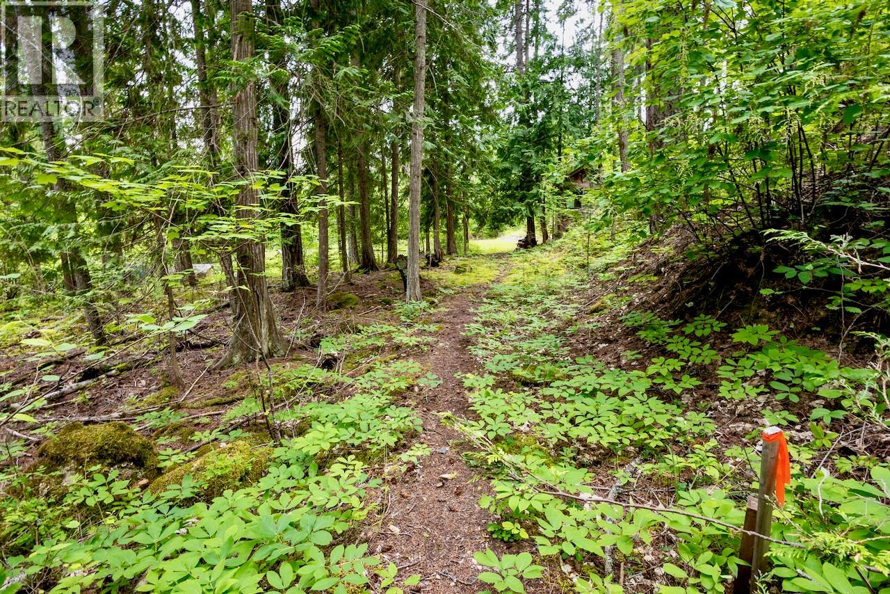 2606 Cedar Avenue Lot# 88, Anglemont, British Columbia  V0E 1M8 - Photo 14 - 10391881