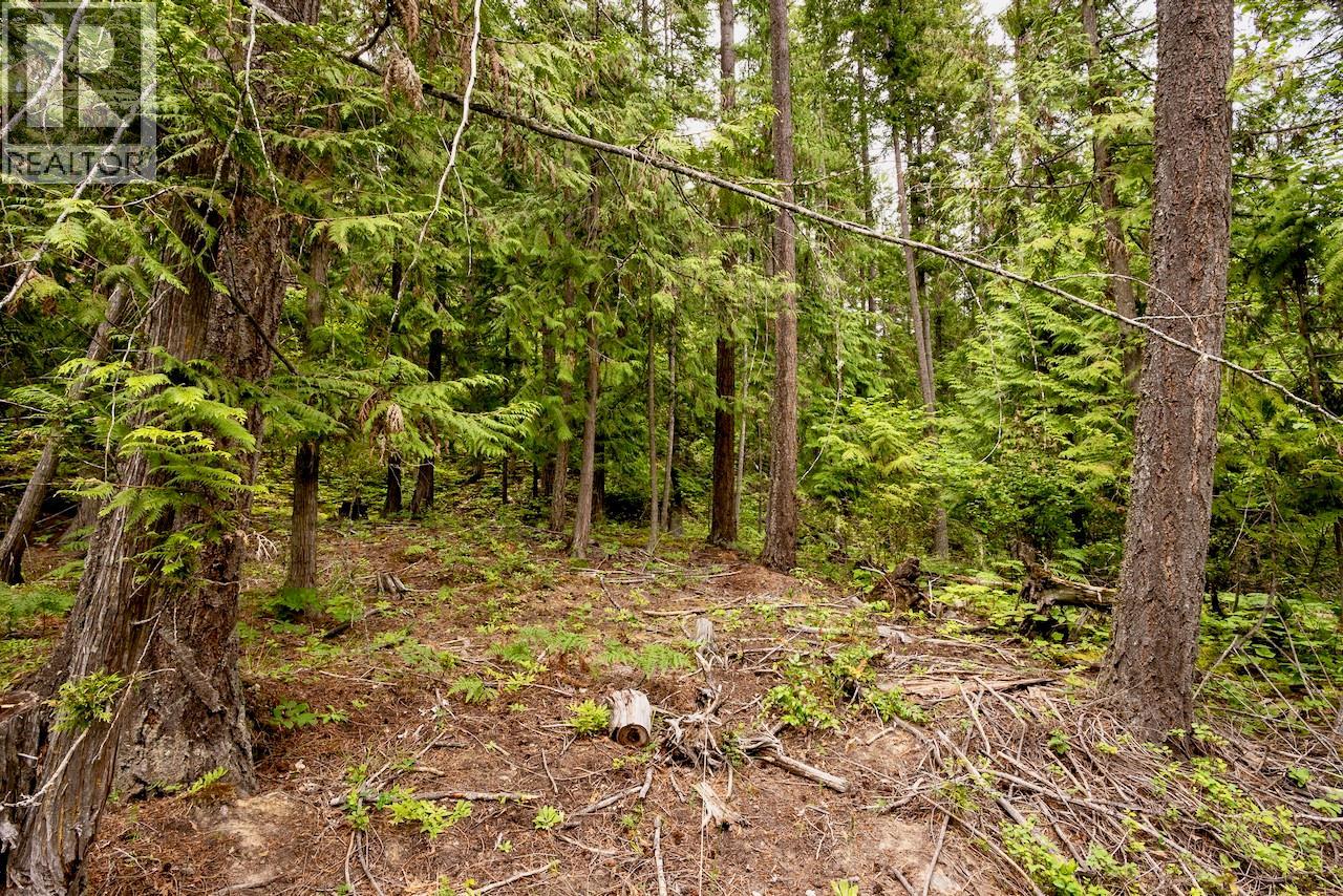 2606 Cedar Avenue Lot# 88, Anglemont, British Columbia  V0E 1M8 - Photo 15 - 10391881