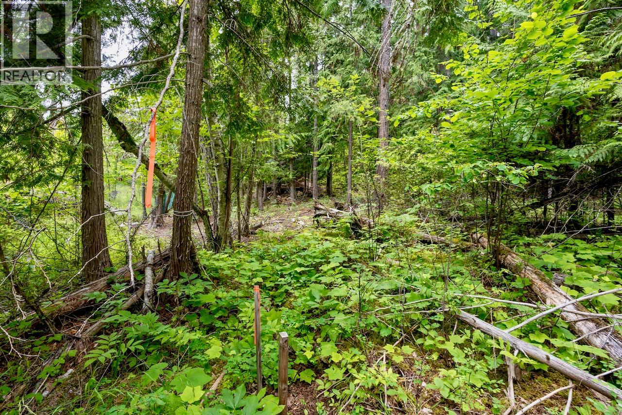 2606 Cedar Avenue Lot# 88, Anglemont, British Columbia  V0E 1M8 - Photo 16 - 10391881