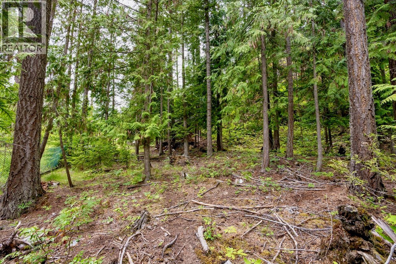2606 Cedar Avenue Lot# 88, Anglemont, British Columbia  V0E 1M8 - Photo 17 - 10391881