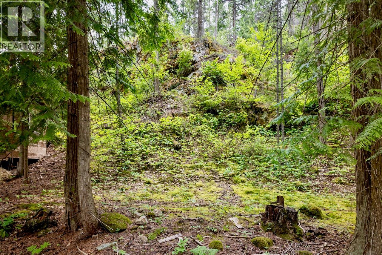 2606 Cedar Avenue Lot# 88, Anglemont, British Columbia  V0E 1M8 - Photo 18 - 10391881