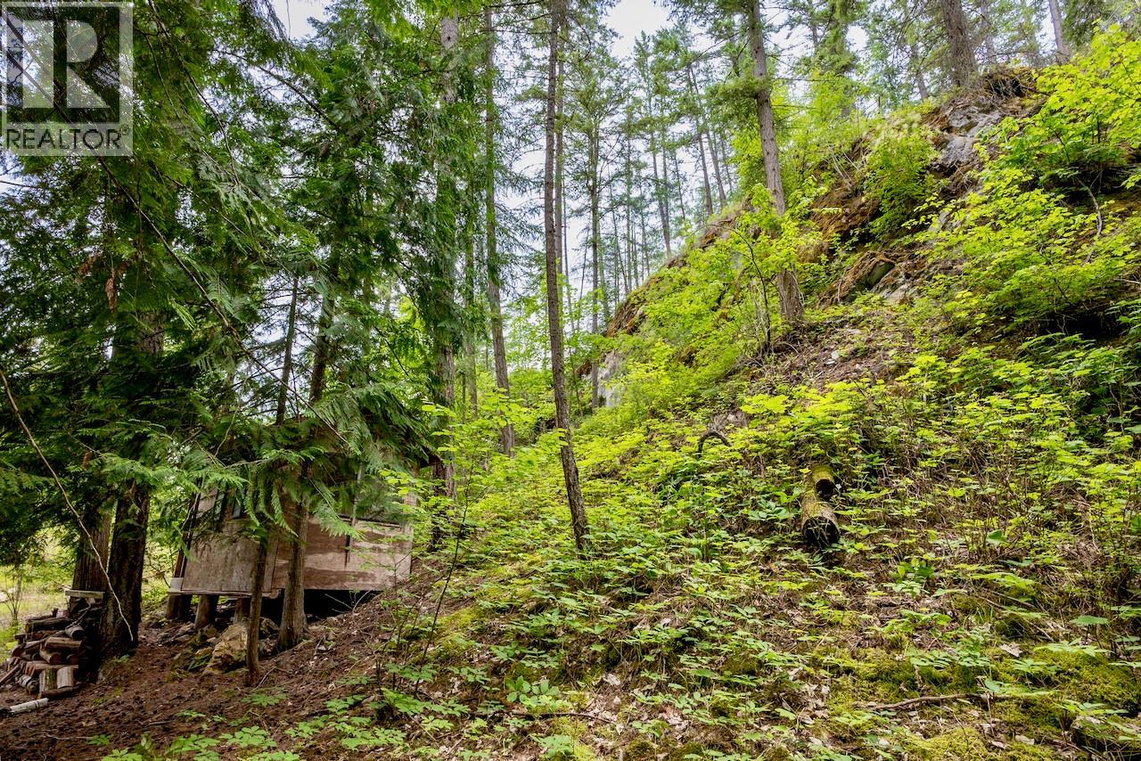 2606 Cedar Avenue Lot# 88, Anglemont, British Columbia  V0E 1M8 - Photo 19 - 10391881