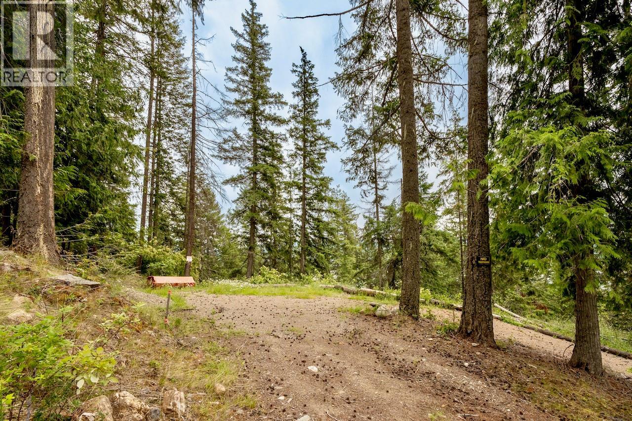 2606 Cedar Avenue Lot# 88, Anglemont, British Columbia  V0E 1M8 - Photo 4 - 10391881