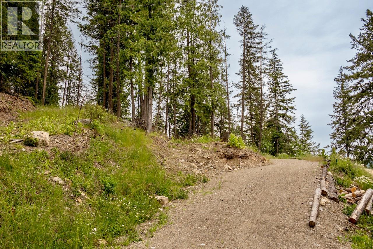 2606 Cedar Avenue Lot# 88, Anglemont, British Columbia  V0E 1M8 - Photo 5 - 10391881