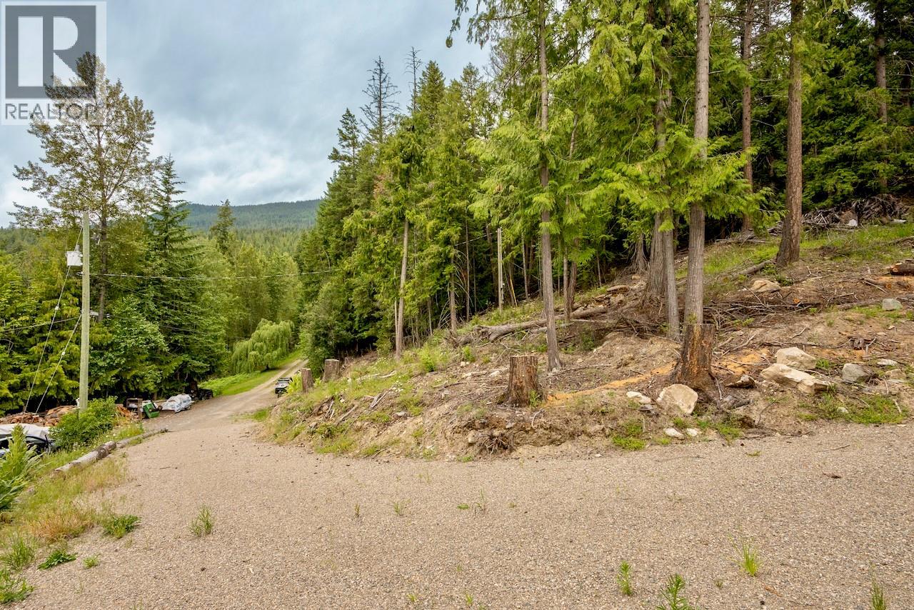 2606 Cedar Avenue Lot# 88, Anglemont, British Columbia  V0E 1M8 - Photo 6 - 10391881