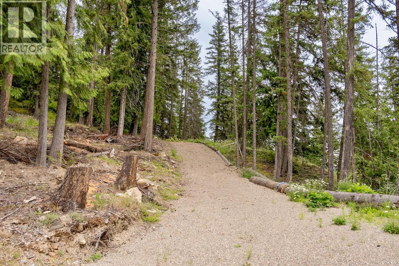 2606 Cedar Avenue Lot# 88, Anglemont, British Columbia  V0E 1M8 - Photo 8 - 10391881