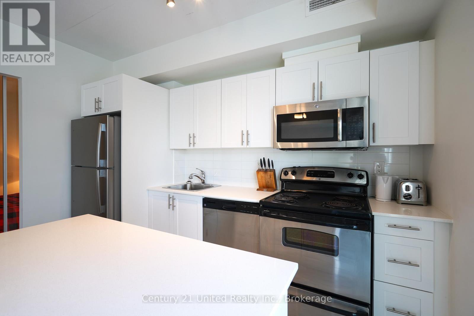 229 - 100 Bond Street E, Oshawa, Ontario  L1G 0B7 - Photo 12 - E13467522