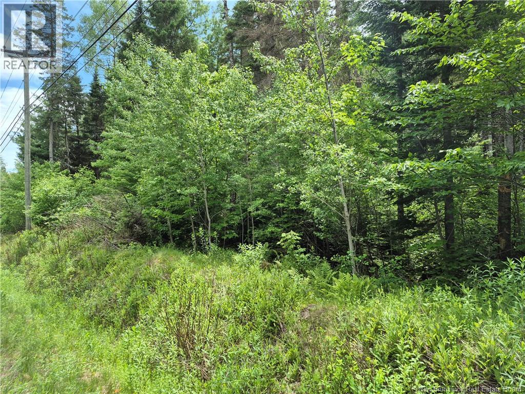0 Rte 148, Nashwaak Village, New Brunswick  E6C 1X3 - Photo 13 - NB142377