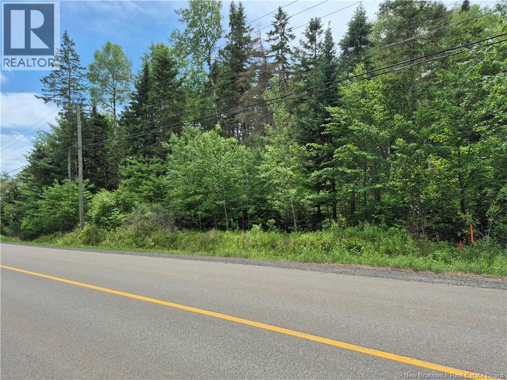 0 Rte 148, Nashwaak Village, New Brunswick  E6C 1X3 - Photo 14 - NB142377