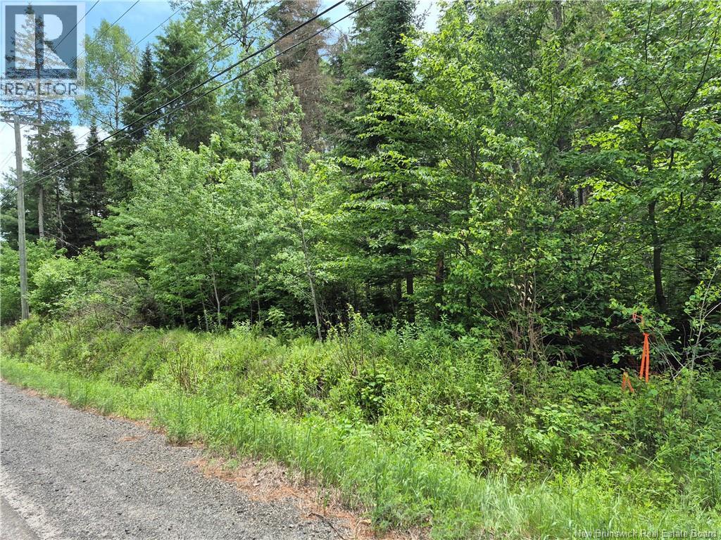 0 Rte 148, Nashwaak Village, New Brunswick  E6C 1X3 - Photo 15 - NB142377