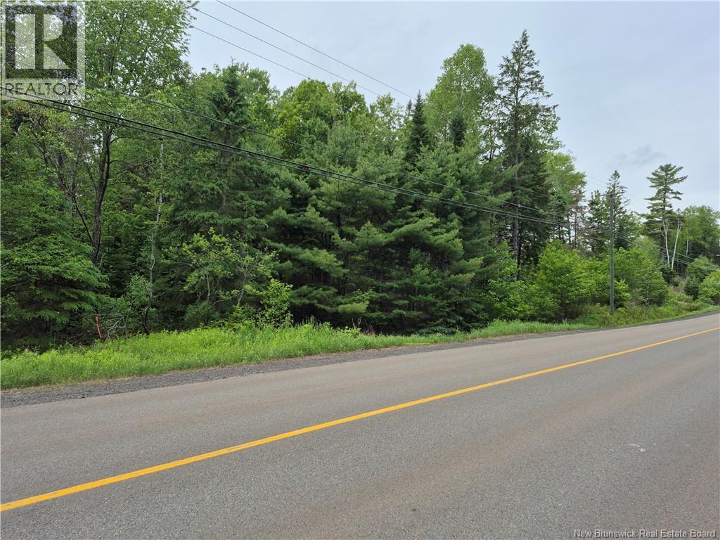 0 Rte 148, Nashwaak Village, New Brunswick  E6C 1X3 - Photo 16 - NB142377
