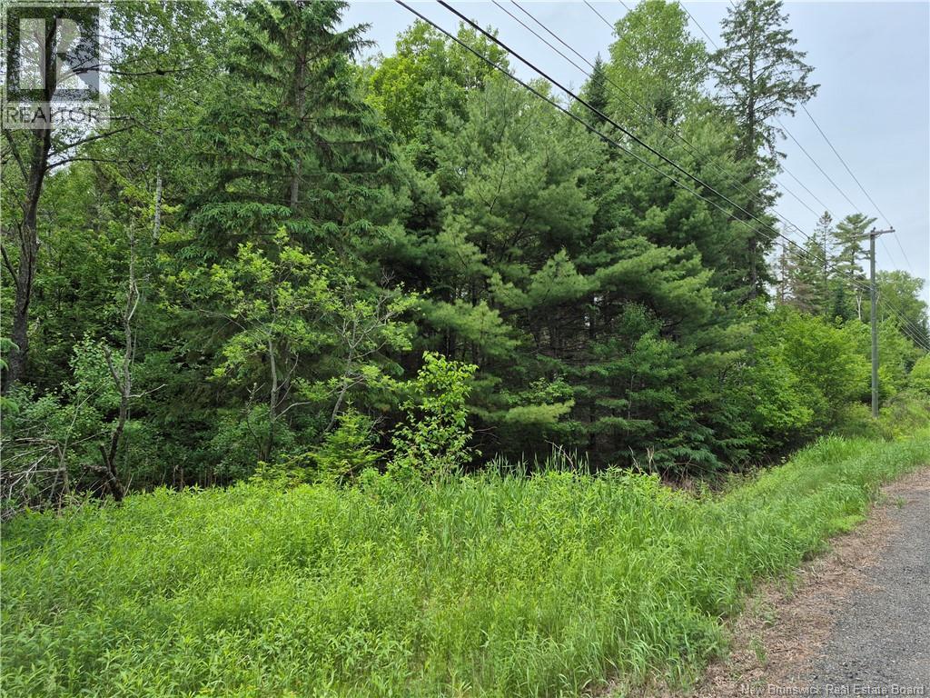 0 Rte 148, Nashwaak Village, New Brunswick  E6C 1X3 - Photo 17 - NB142377
