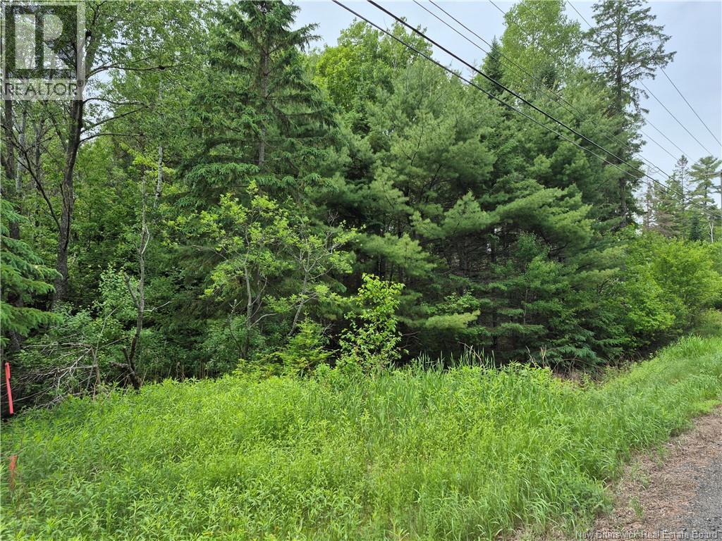 0 Rte 148, Nashwaak Village, New Brunswick  E6C 1X3 - Photo 18 - NB142377