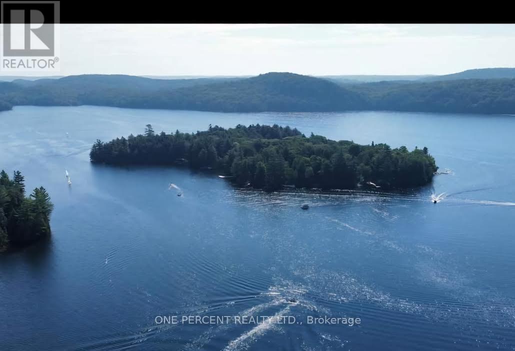 24 Island A Camp Lake Island, Lake Of Bays, Ontario  P0A 1H0 - Photo 2 - X13467652
