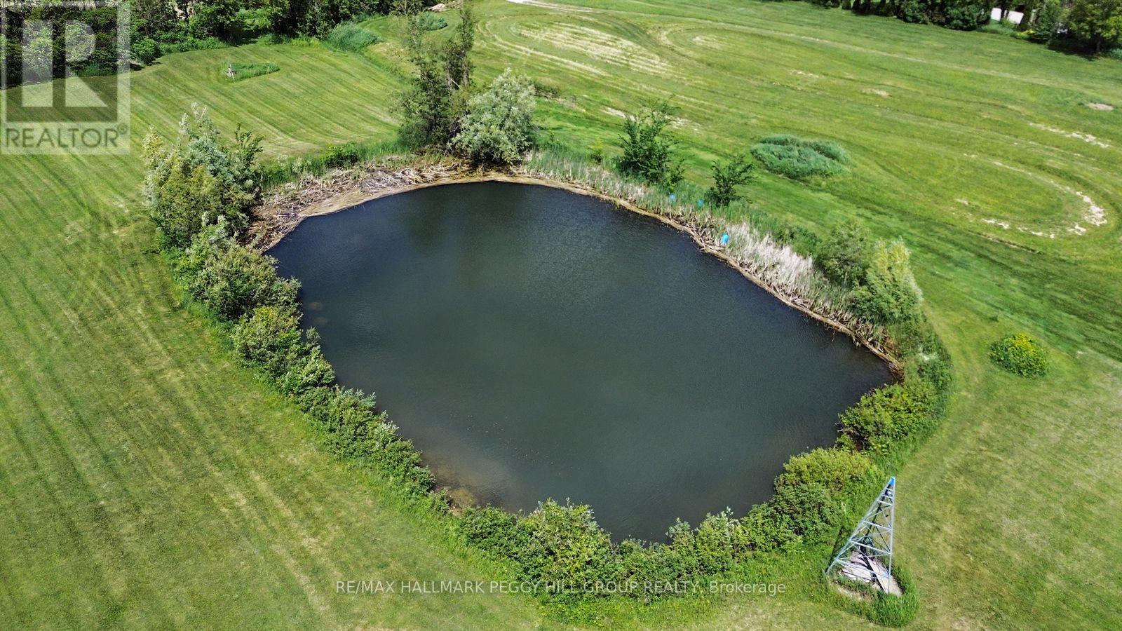 8886 County Road 91, Clearview, Ontario  L0M 1H0 - Photo 22 - S13001910