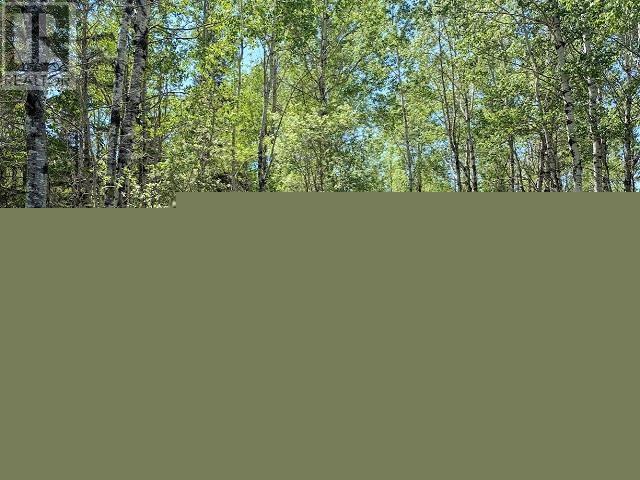 26 Bullock Rd, Oxdrift, Ontario  P8N 2Y5 - Photo 6 - TB2601424