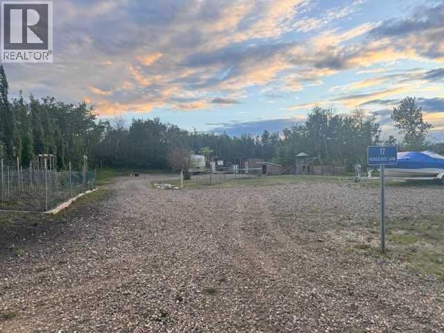 17 Horse Shoe Lane, White Sands, Alberta  T0C 3B0 - Photo 1 - A2322065