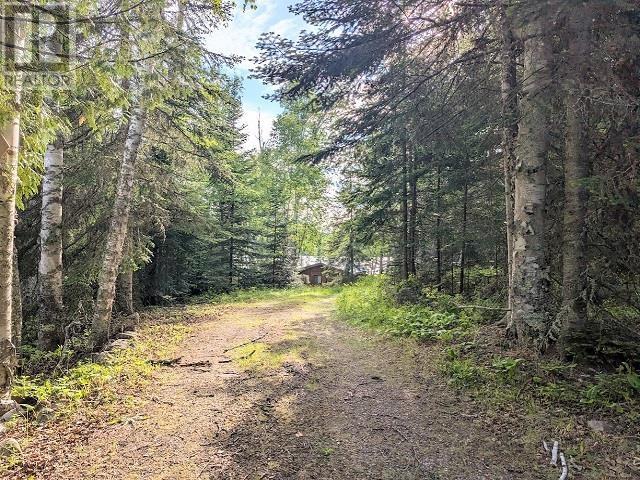 2156 Mavis Lake Rd, Dryden, Ontario  P8N 0A2 - Photo 21 - TB2601583