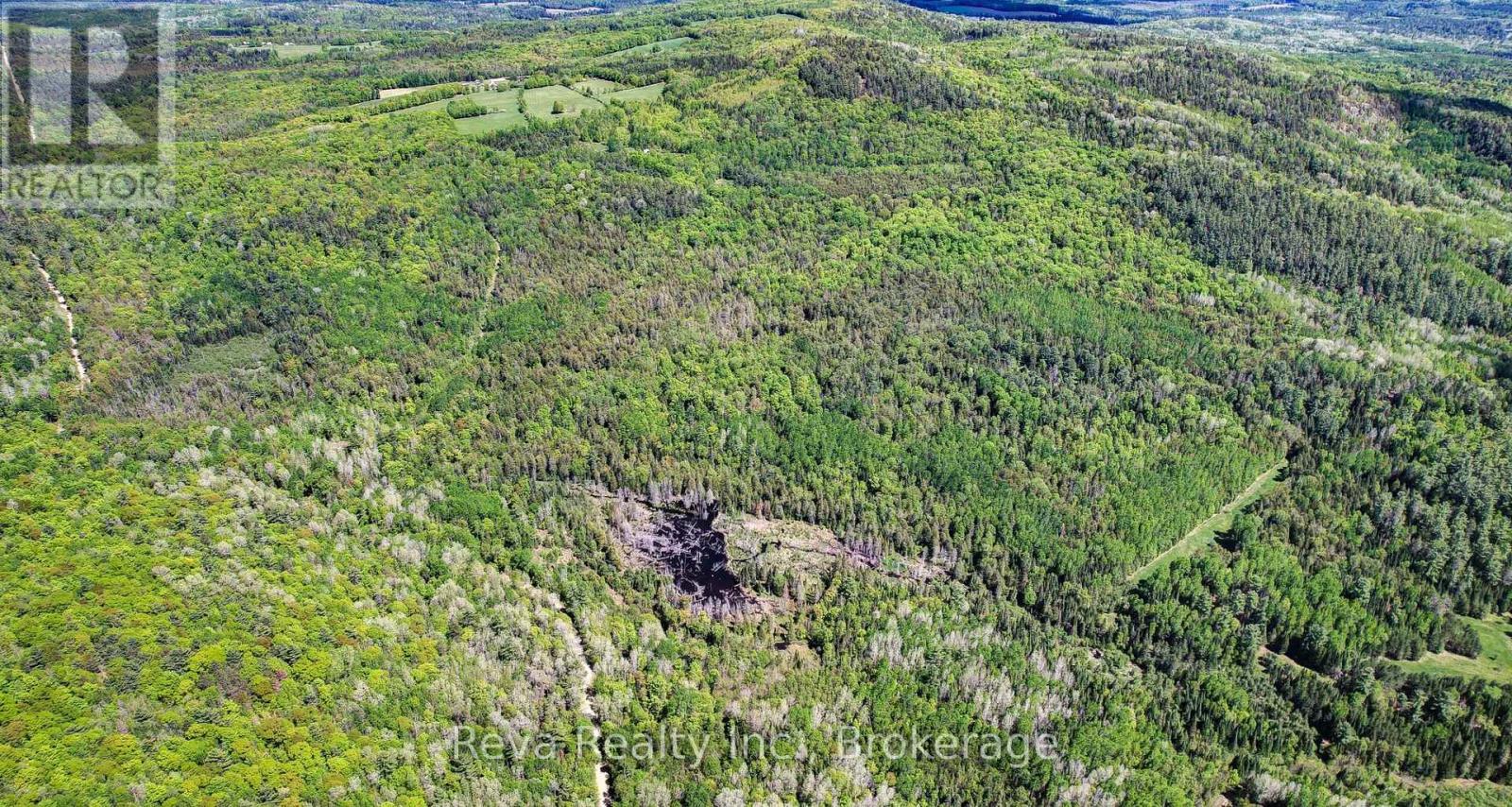 280 Lower Rosenthal Road, Lyndoch And Raglan, Ontario  K0H 1K0 - Photo 17 - X13215136