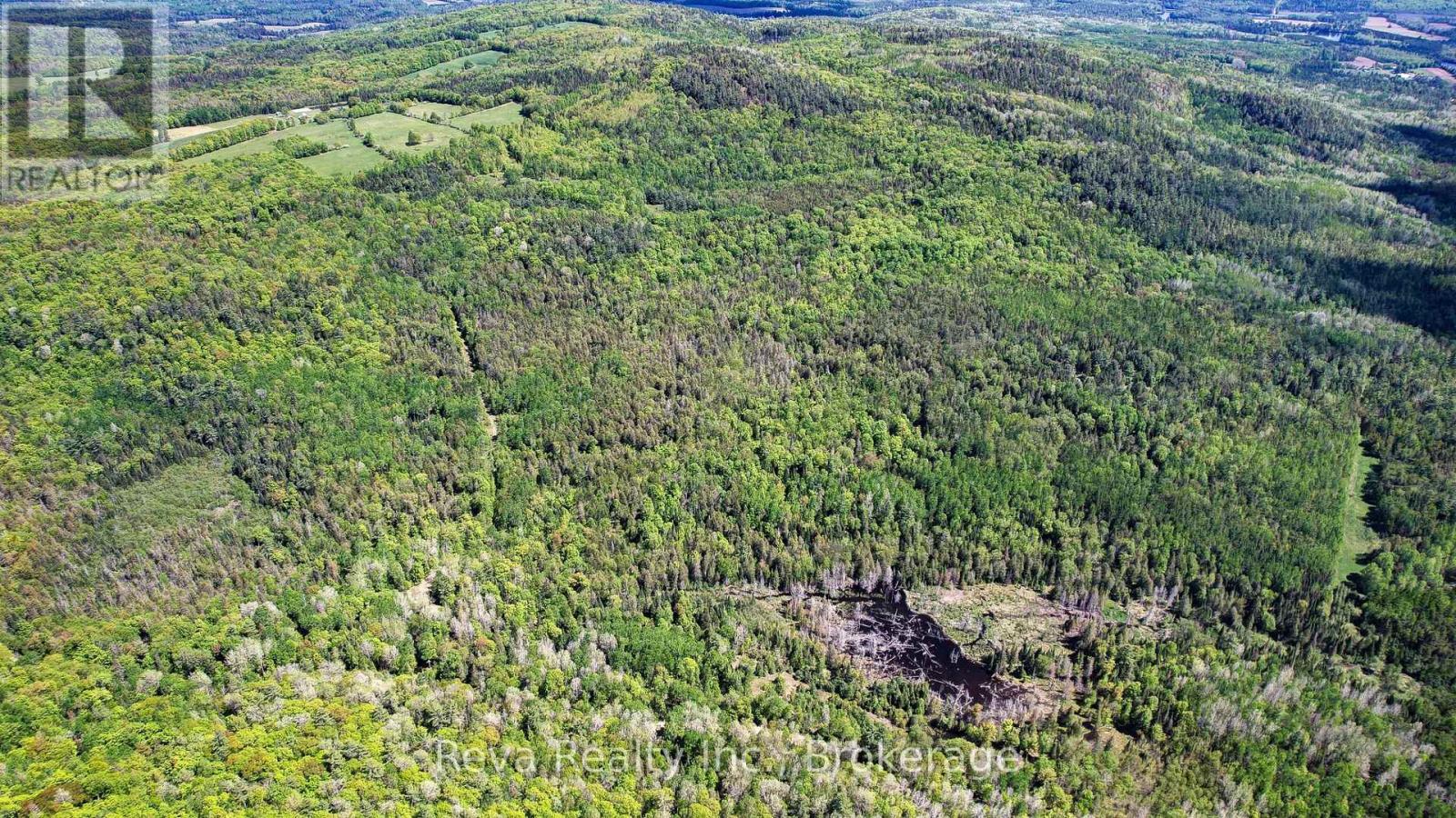 280 Lower Rosenthal Road, Lyndoch And Raglan, Ontario  K0H 1K0 - Photo 18 - X13215136