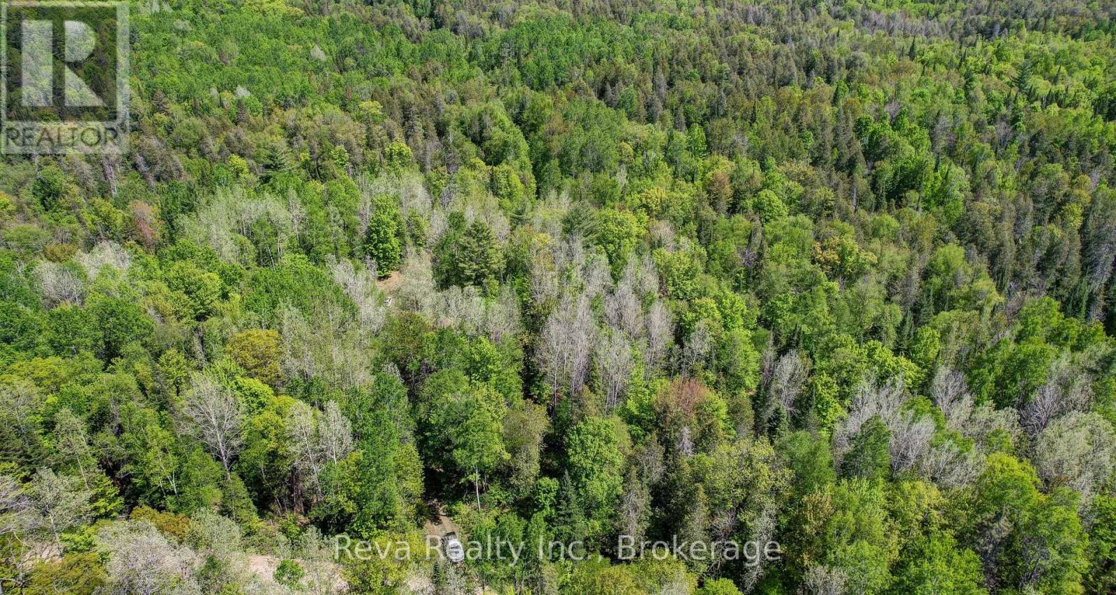 280 Lower Rosenthal Road, Lyndoch And Raglan, Ontario  K0H 1K0 - Photo 20 - X13215136