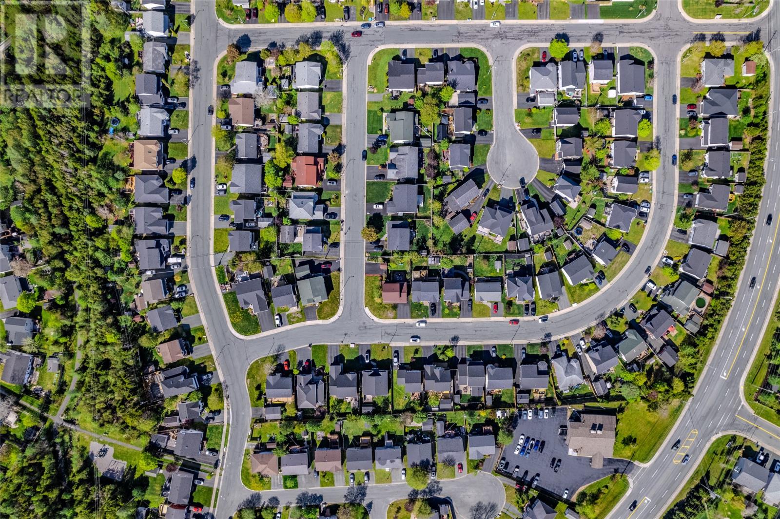 Photo 38