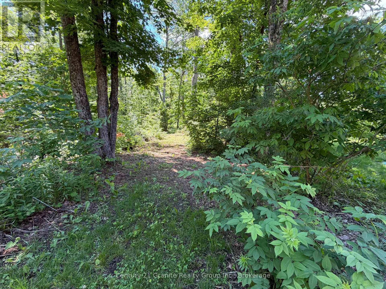 1048 Bacon Road, Minden Hills, Ontario  K0M 2A1 - Photo 35 - X13468450
