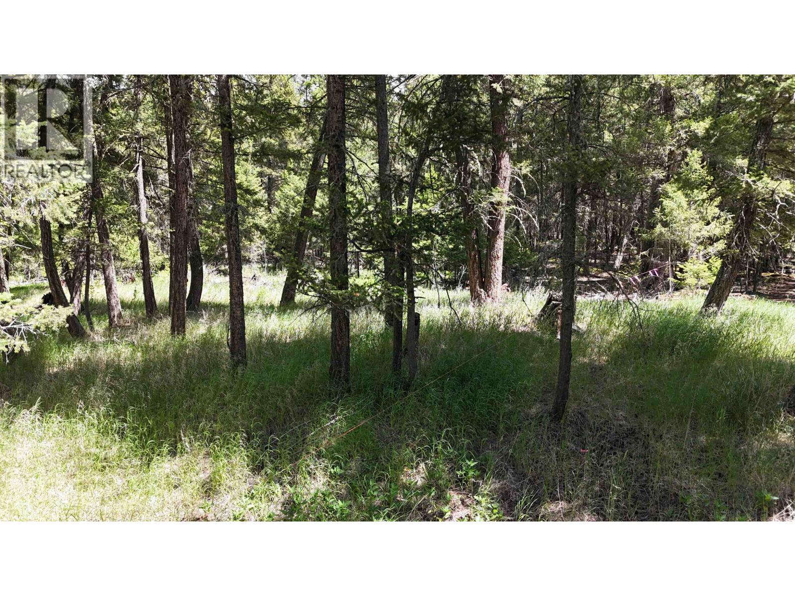 Lot 12 Reita Crescent, 100 Mile House, British Columbia  V0K 2E1 - Photo 10 - R3113875