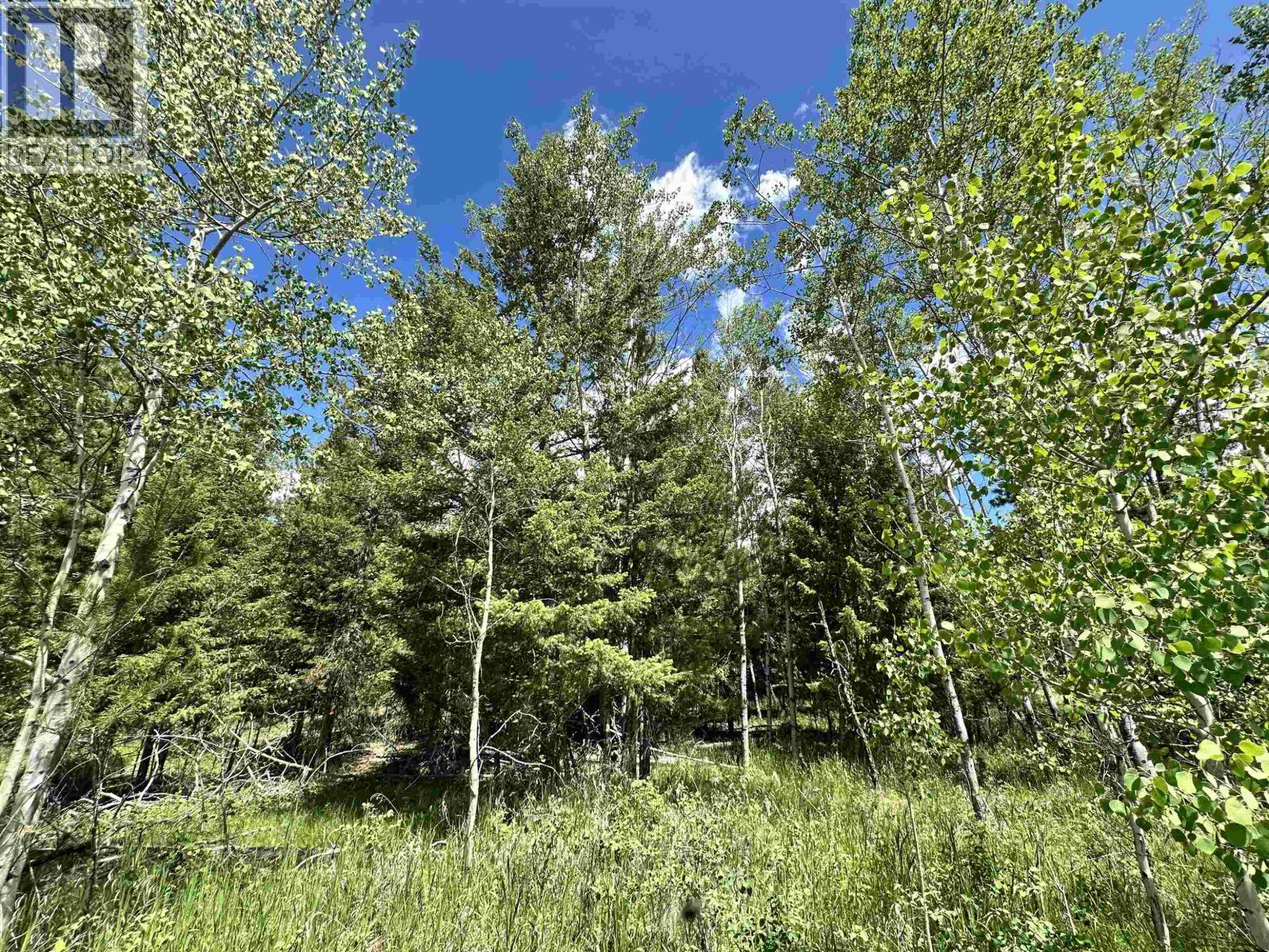 Lot 12 Reita Crescent, 100 Mile House, British Columbia  V0K 2E1 - Photo 17 - R3113875