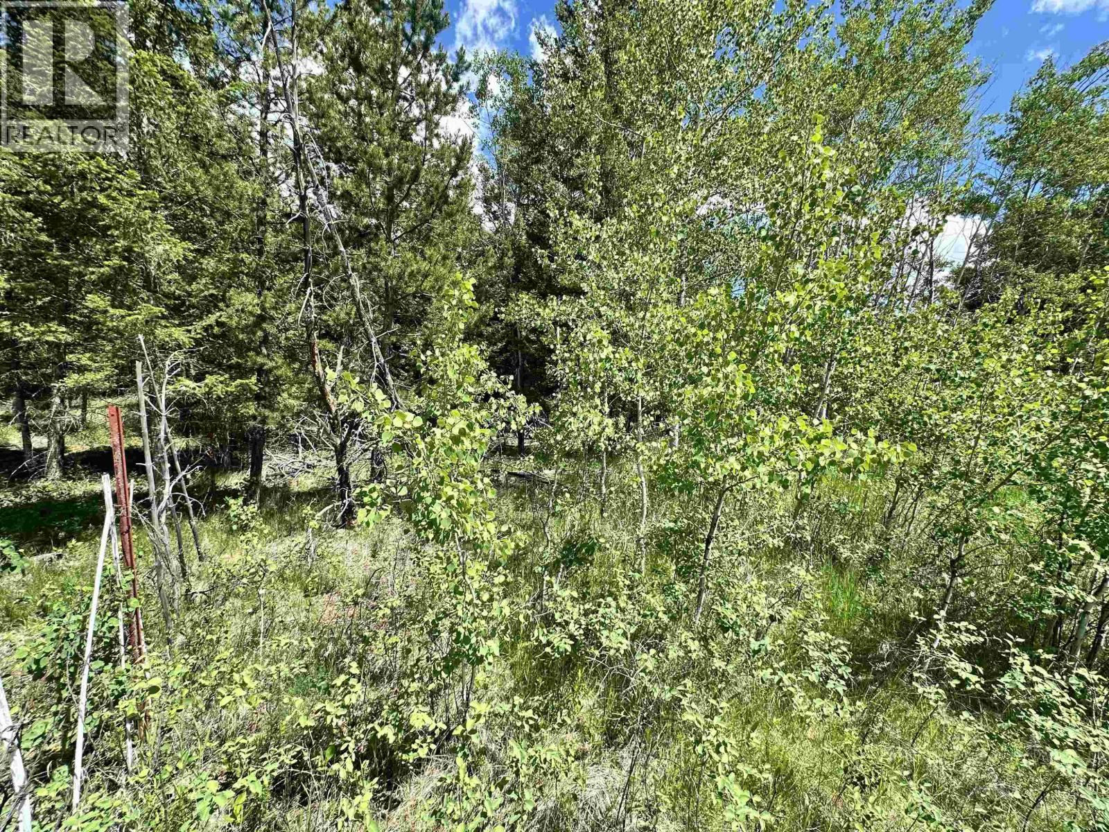 Lot 12 Reita Crescent, 100 Mile House, British Columbia  V0K 2E1 - Photo 15 - R3113875