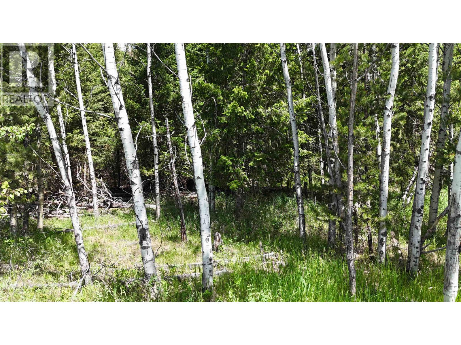 Lot 12 Reita Crescent, 100 Mile House, British Columbia  V0K 2E1 - Photo 11 - R3113875