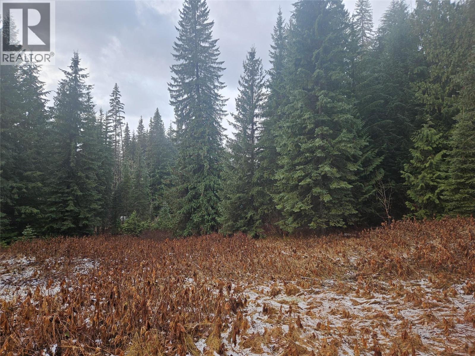 Ferguson Road Lot# 22, Ferguson, British Columbia V0G 1R1 - Photo 2 - 10392038