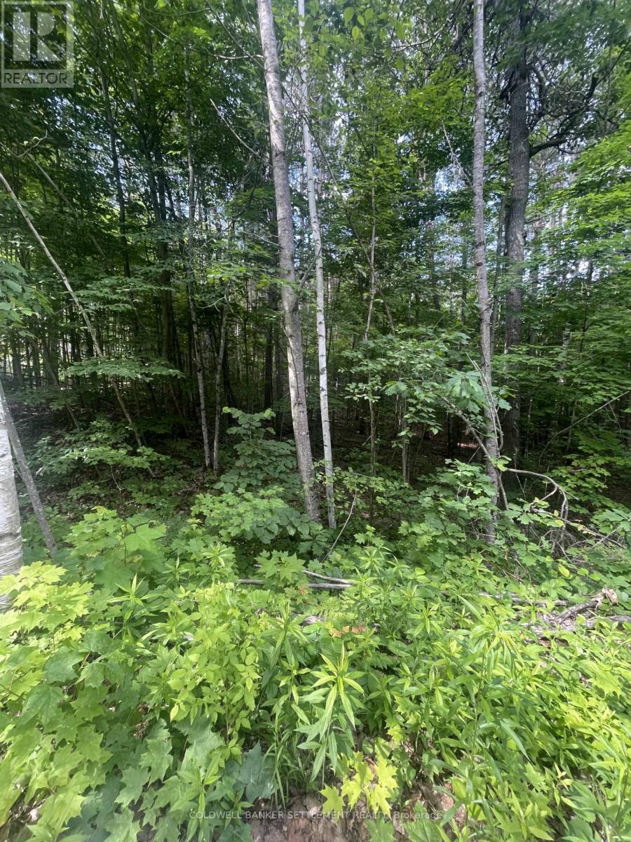 0 POND ROAD, Tay Valley, Ontario